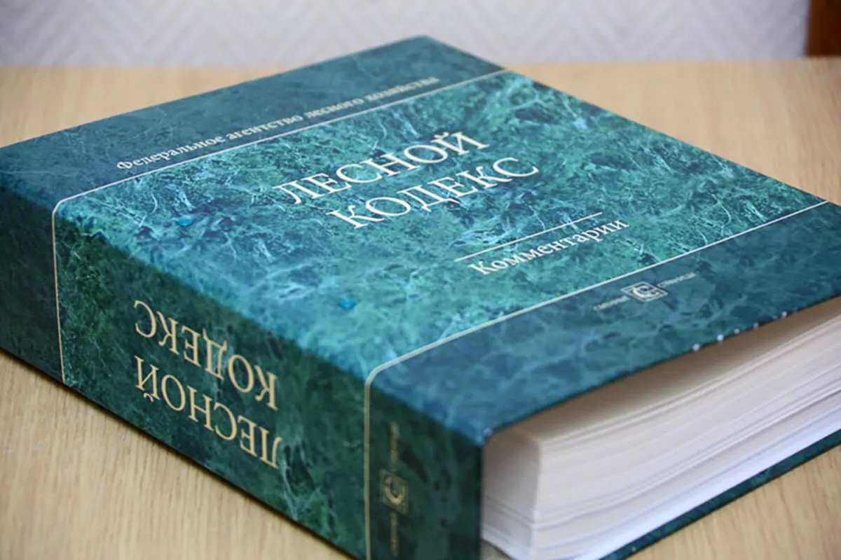 Эксперт по лесному хозяйству отмечает, что Лесной кодекс 2006 года фактически превратился в новый документ: внесено 79 наборов поправок. Он предлагает кардинально упростить и сократить кодекс, чтобы снизить риски для бизнеса и специалистов.