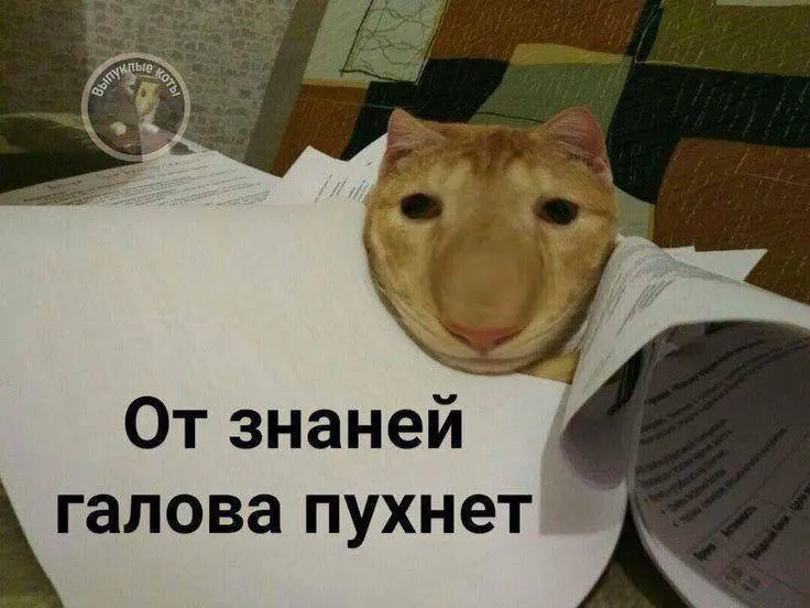 Министр спорта Михаил Дегтярев сообщил, что в Тульской области в этом году опробуют норматив по управлению малым дроном (75 мм), а с следующего года знак ГТО по этому испытанию смогут получить желающие по всей стране — он даст до 10 баллов к результатам экзамена.