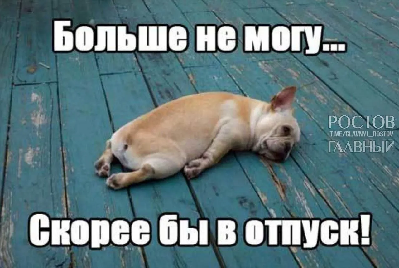 В Госдуме предложили увеличить минимальную продолжительность ежегодного отпуска до 35 дней — чтобы компенсировать входящие в отпуск выходные и снизить риск выгорания.