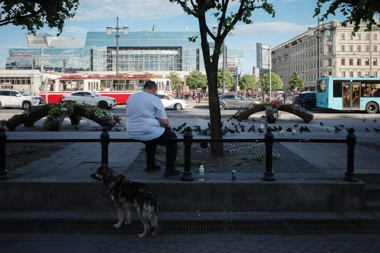 Короткая сводка: в Петербурге присваивают новые названия улицам и скверам, в Выборге выкосили цветущие ландыши, для праздника назначены дополнительные поезда. В федеральной хронике — изменения в банковской практике, сообщения о жертвах после атак и новые правила для библиотечных фондов.