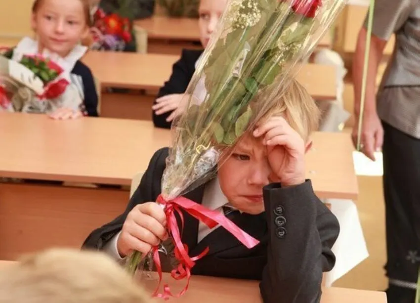 Замглавы Минпросвещения Владимир Желонкин заявил, что 11 лет — оптимальный срок обучения; менять его не планируют, а все стандарты будут вырабатываться с расчётом на 11 классов.