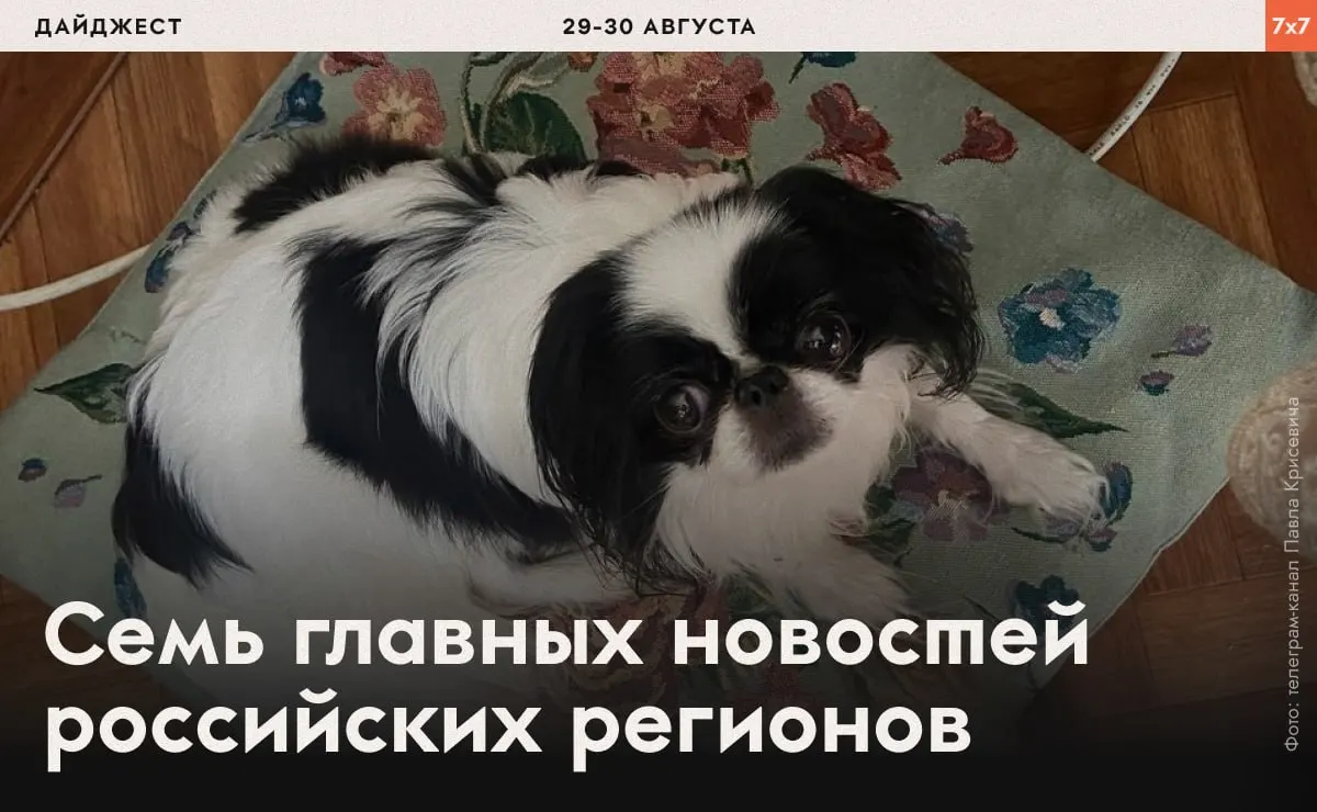 В дайджесте — случаи давления на активистов, аресты и ограничения на агитацию, охватившие регионы страны.
