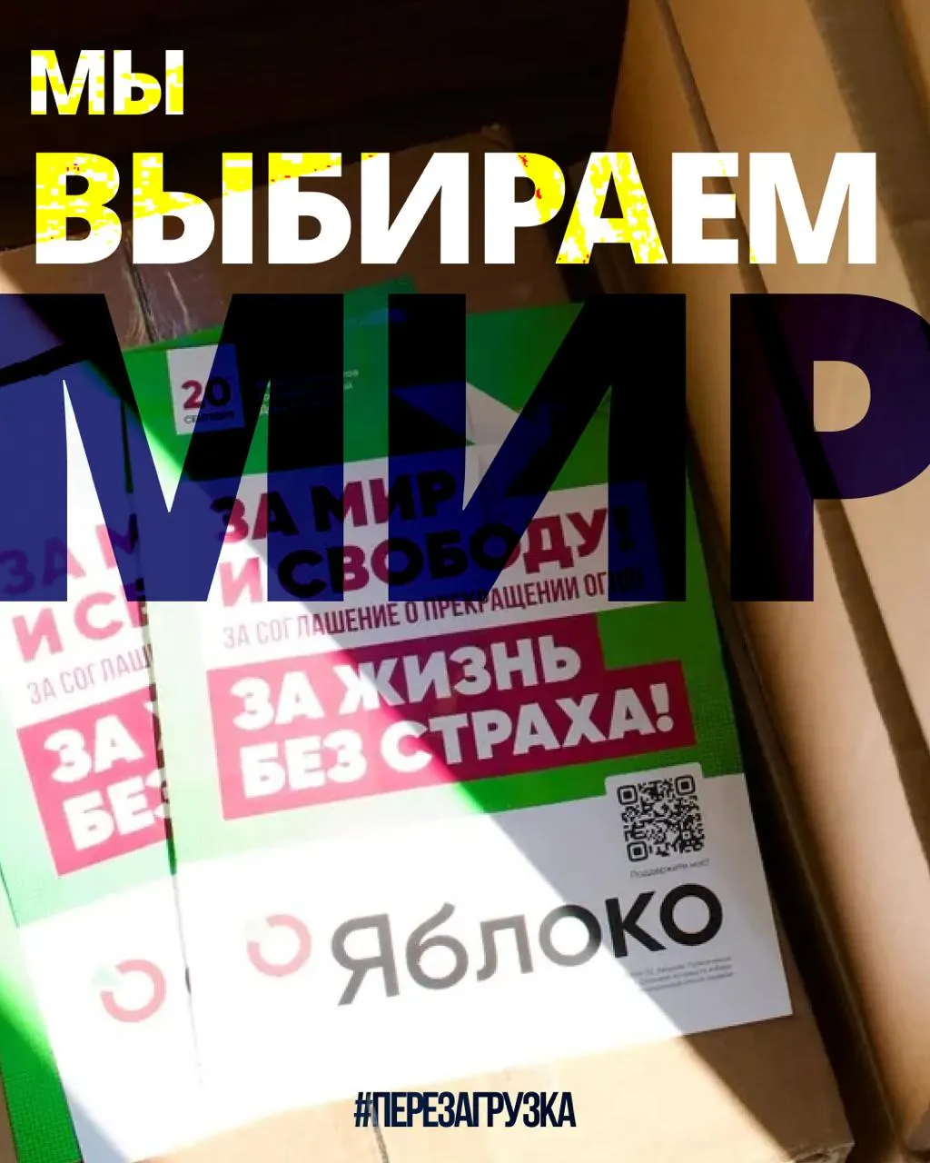 Региональная кампания партии набирает обороты: 53 региона, апелляция в Верховный суд, растущая поддержка и призыв к миру.