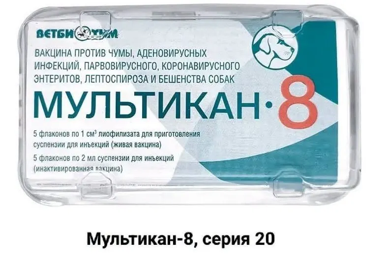 Владельцы собак, погибших после вакцинации препаратом «Мультикан-8», требуют привлечь внимание к случившемуся и провести независимые анализы. Инциденты зафиксированы в нескольких регионах, включая Москву и Ярославскую область.
