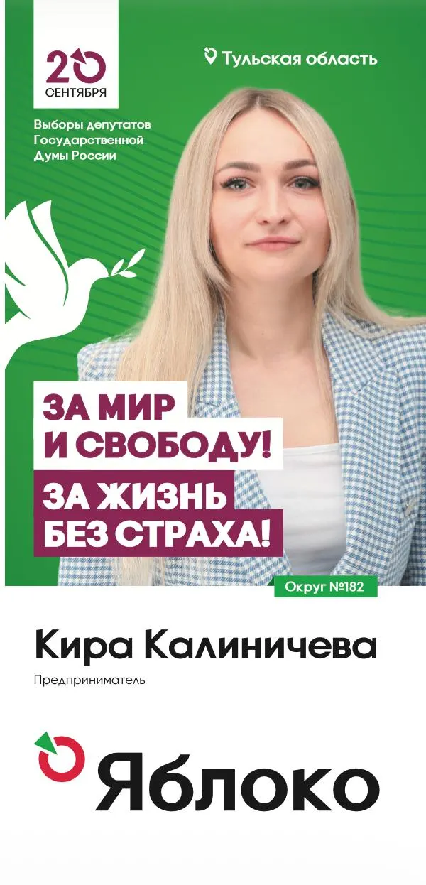 Кандидатка по Новомосковскому одномандатному округу №182 не смогла подать списки наблюдателей из-за сообщений о минировании зданий избиркомов; ситуация вызывает вопросы вокруг процесса голосования в регионе.