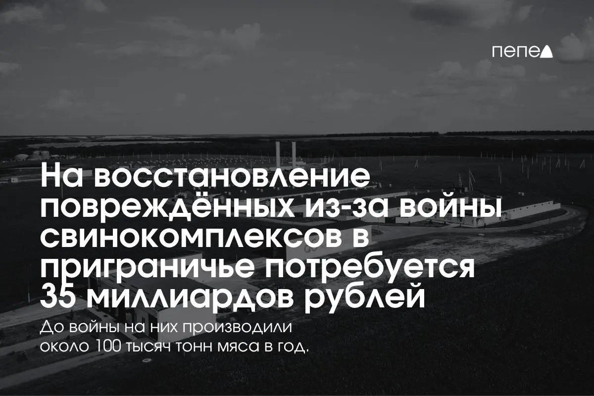 Расходы на восстановление свинокомплексов в Белгородской, Курской и Брянской областях оцениваются в 35 млрд рублей; меры безопасности требуют дополнительных вложений в инфраструктуру.