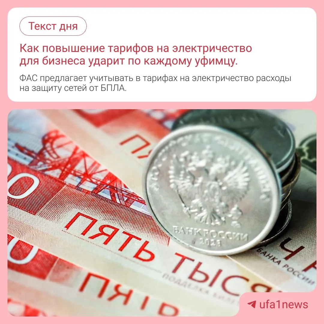 ФАС предложила учитывать расходы на защиту электросетей от беспилотников в расчёте тарифов, что может привести к росту цен по всей стране.